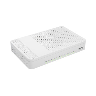 Halny HL-4GXV-F GPON